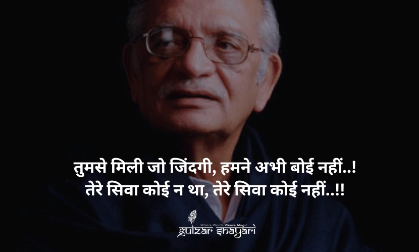 तुमसे-मिली-जो-ज़िंदगी,-हमने-अभी-बर्बाद-नहीं, तेरे-सिवा-कोई-न-था,-तेरे-सिवा-कोई-नहीं!